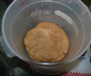 michDoughFinal Dough Ready to Rise