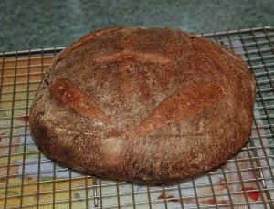 Whole Wheat Sourdough Miche