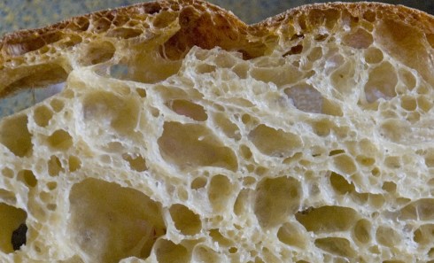 CrumbCloseup