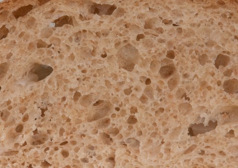 CrumbCloseup