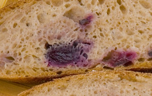 CrumbCloseup