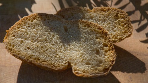 Crumb1