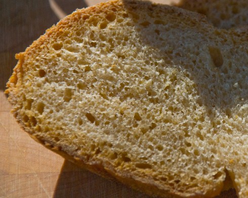 CrumbCloseup