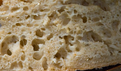 CRUMBCLOSEUP