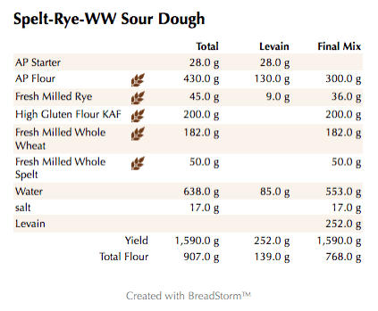 spelt-rye-ww-sour-dough-weights